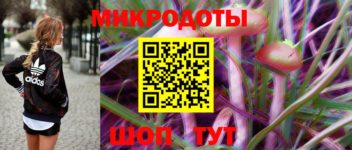 Галлюциногенные грибы MAGIC MUSHROOMS  Вход с VPN  продажа наркотиков  Егорьевск 
